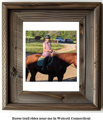 horse trail rides near me in Wolcott, Connecticut